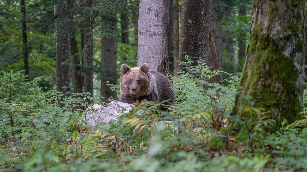 Тува: на рыбалке погиб отец хоккеиста Андрея Кузьменко