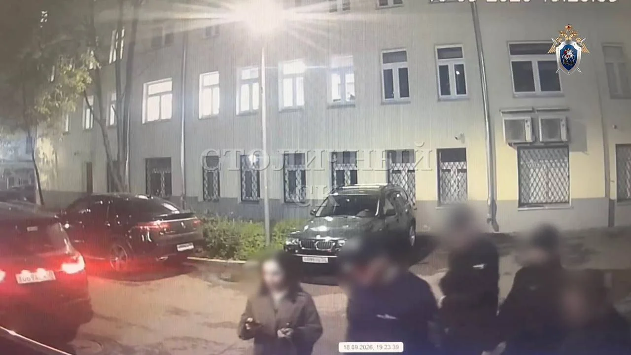 Заказчицу нападения на актера обвинили