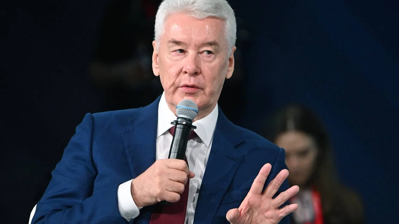 Два вопроса в одном анекдоте: Собянин сравнил ИИ со строительством сарая