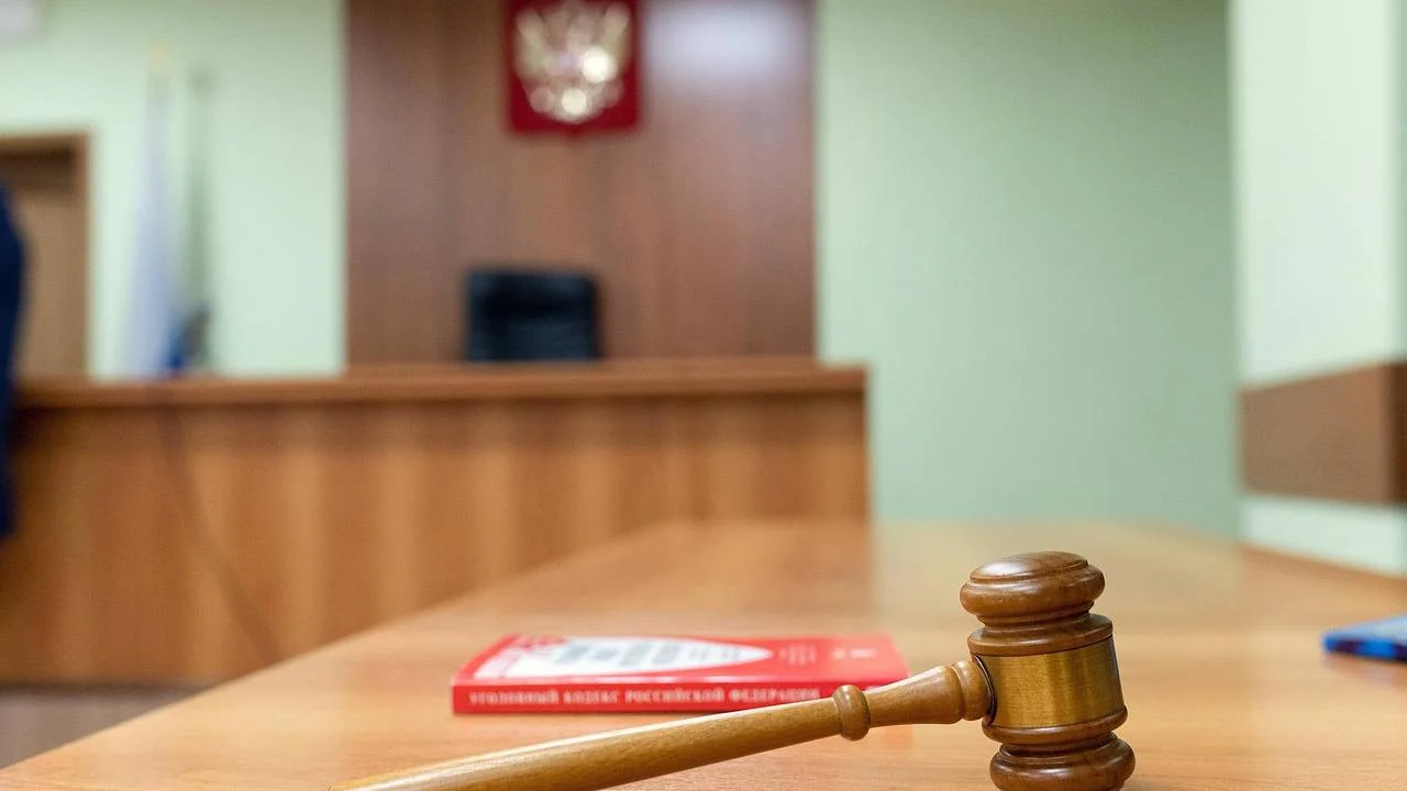 В Петербурге вынесли приговор дочери, убившей мать 44 ударами ножа