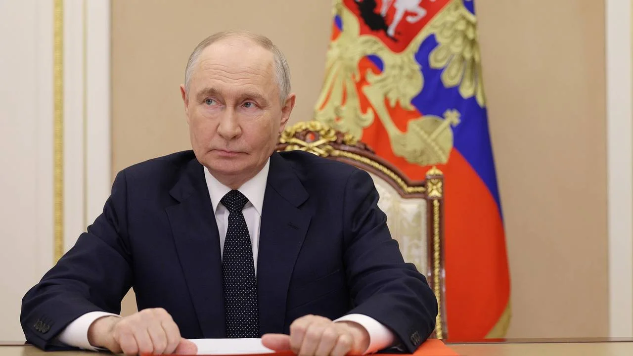 День тигра: Путин отметил рост популяции амурского хищника