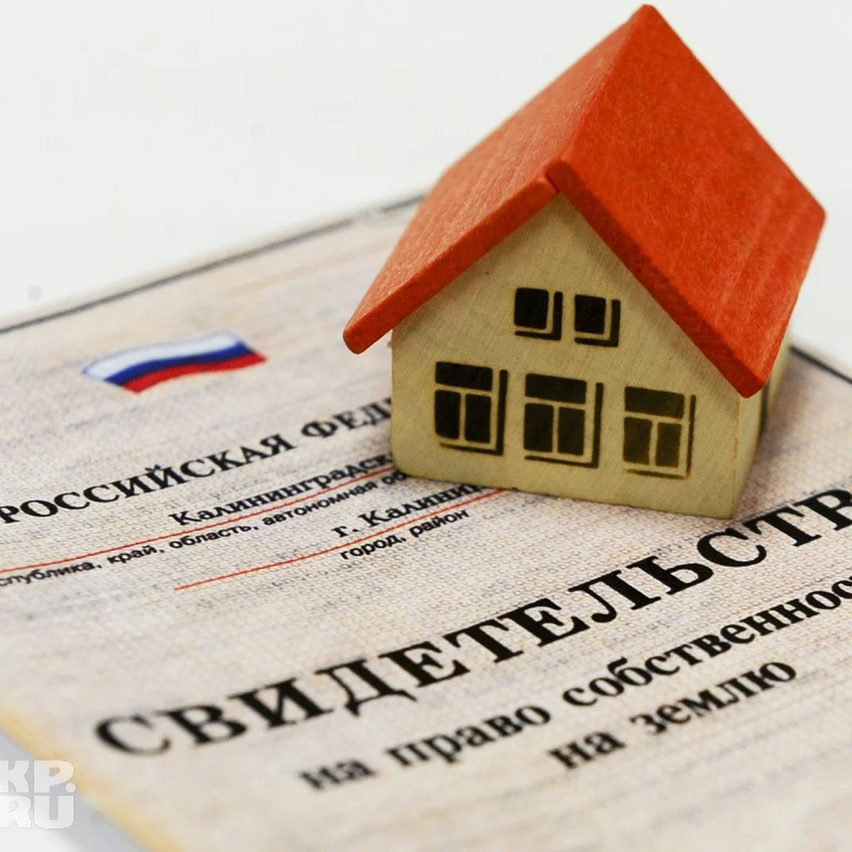 Адвокат перечислила бумаги, которые защитят от судов и потери денег