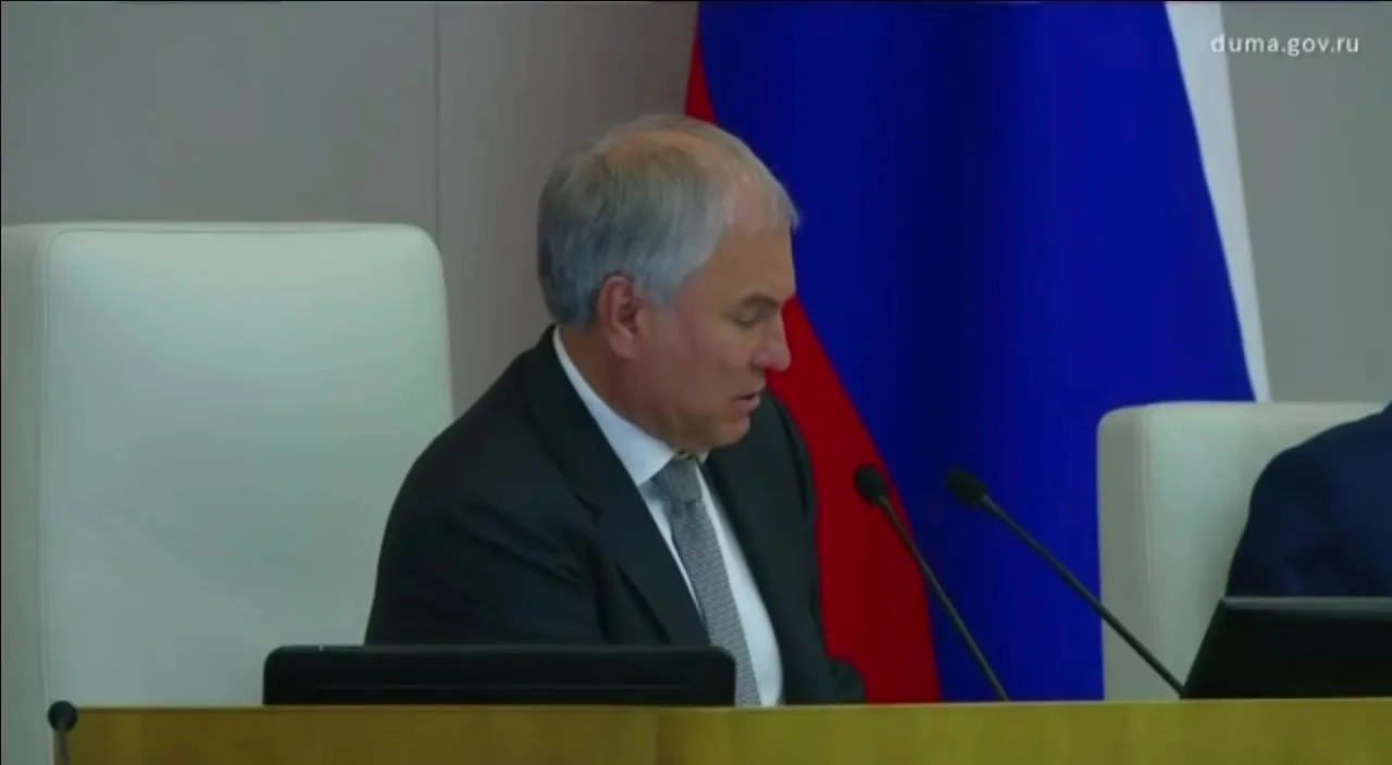 Володин поручил кабмину заняться легализацией продажи красивых автономеров