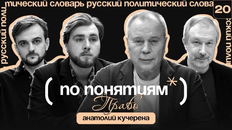 Кучерена рассказал о границе между законом и справедливостью
