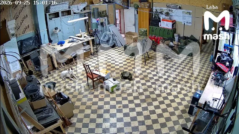 В бригаде «Хартия» нарушилась связь после действий российских хакеров
