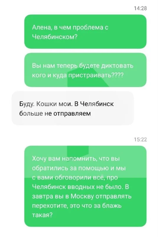 Питомник сфинксов в Энгельсе: 200 кошек остались без экспорта и лечения