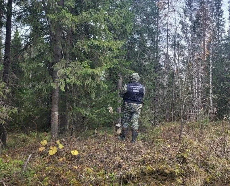 Охотник погиб при встрече с медведем в Архангельской области