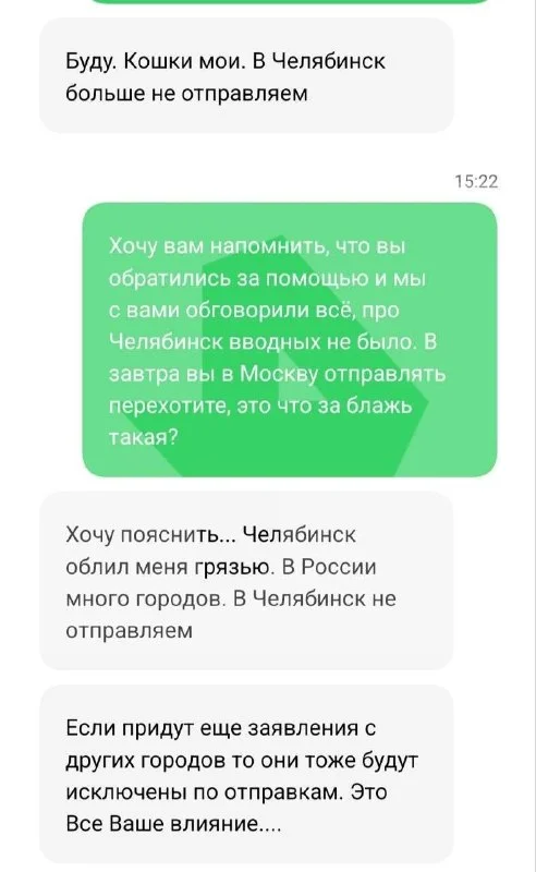 Питомник сфинксов в Энгельсе: 200 кошек остались без экспорта и лечения