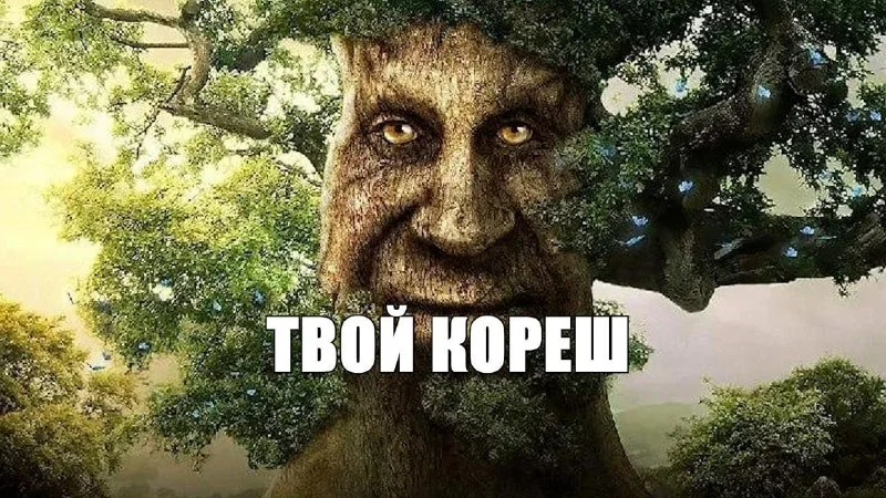 Врачи извлекли из глаза жителя Якутии проросшее семя растения
